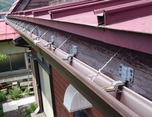 コピー ～ DSC_0115